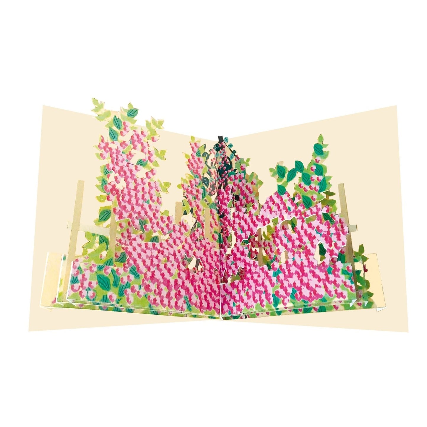 2toTango 3D Pop Up Card Flowering Bougainvillea Plant Greeting Card Any Occasion