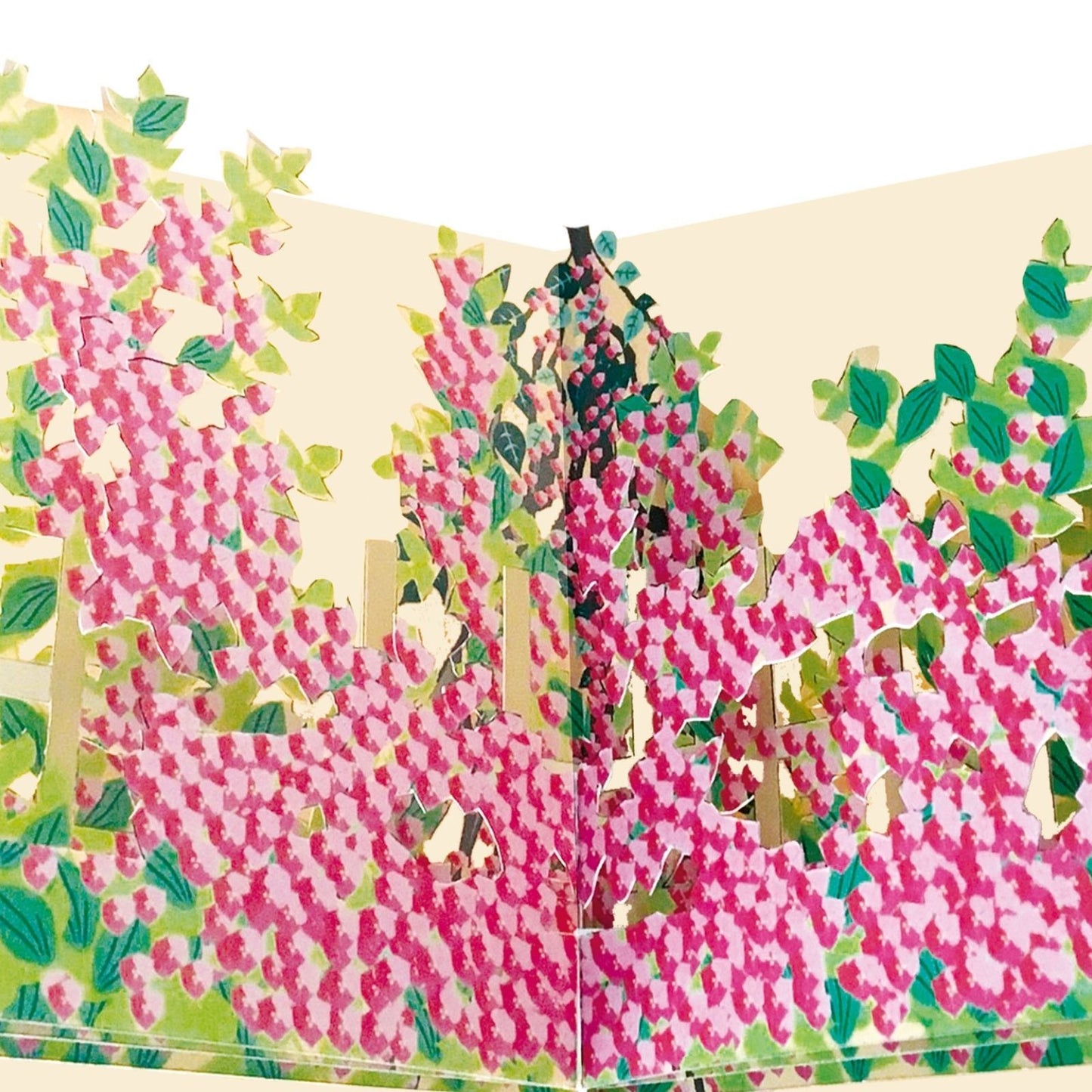 2toTango 3D Pop Up Card Flowering Bougainvillea Plant Greeting Card Any Occasion