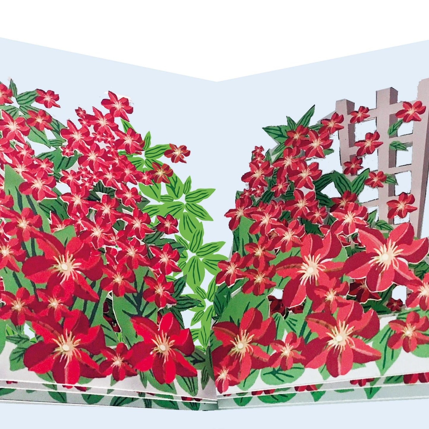 2toTango 3D Pop Up Card Flowering Clematis Greeting Card Any Occasion
