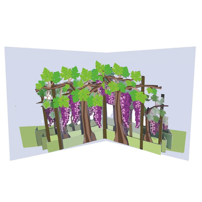 2toTango 3D Pop Up Card Fruiting Grape Vine Greeting Card Any Occasion