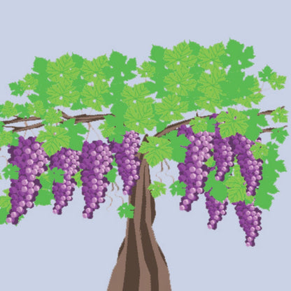 2toTango 3D Pop Up Card Fruiting Grape Vine Greeting Card Any Occasion