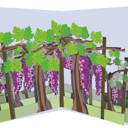 2toTango 3D Pop Up Card Fruiting Grape Vine Greeting Card Any Occasion
