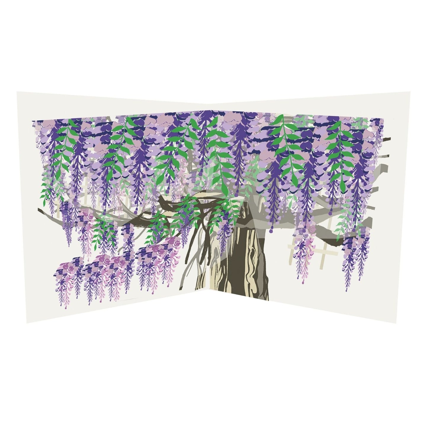 2toTango 3D Pop Up Card Flowering Wisteria Greeting Card Any Occasion