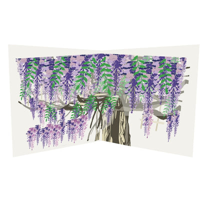 2toTango 3D Pop Up Card Flowering Wisteria Greeting Card Any Occasion