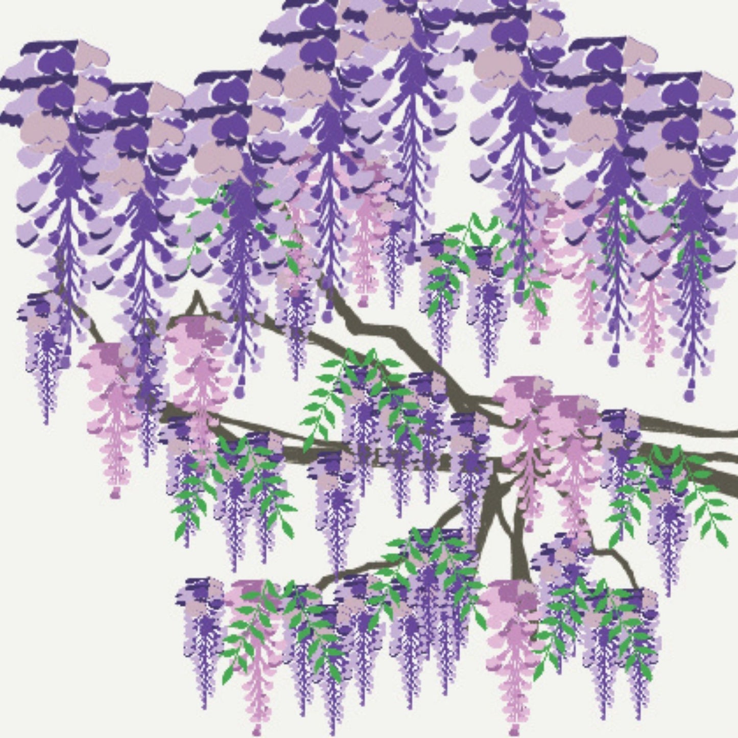 2toTango 3D Pop Up Card Flowering Wisteria Greeting Card Any Occasion