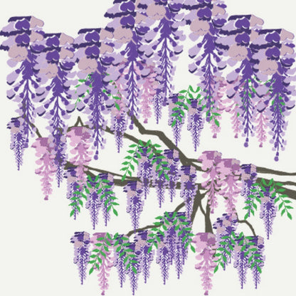 2toTango 3D Pop Up Card Flowering Wisteria Greeting Card Any Occasion