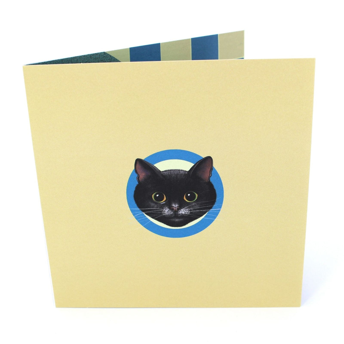 2toTango 3D Pop Up Card Cat & Mouse Greeting Card Any Occasion