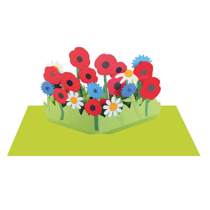 2toTango 3D Pop Up Card Red Poppies Meadow Greeting Card Any Occasion