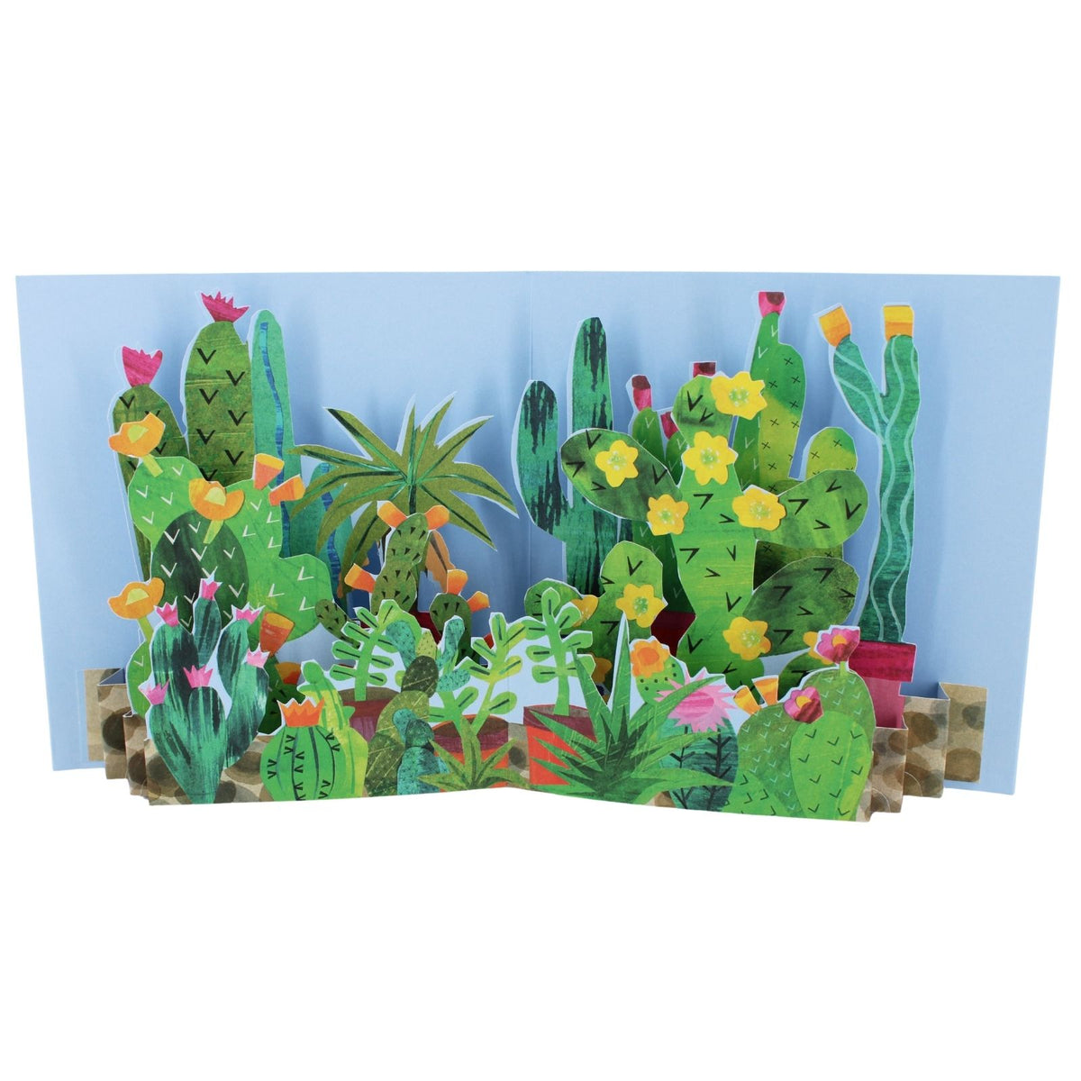 2toTango 3D Pop Up Card Green Cactus Greeting Card Any Occasion