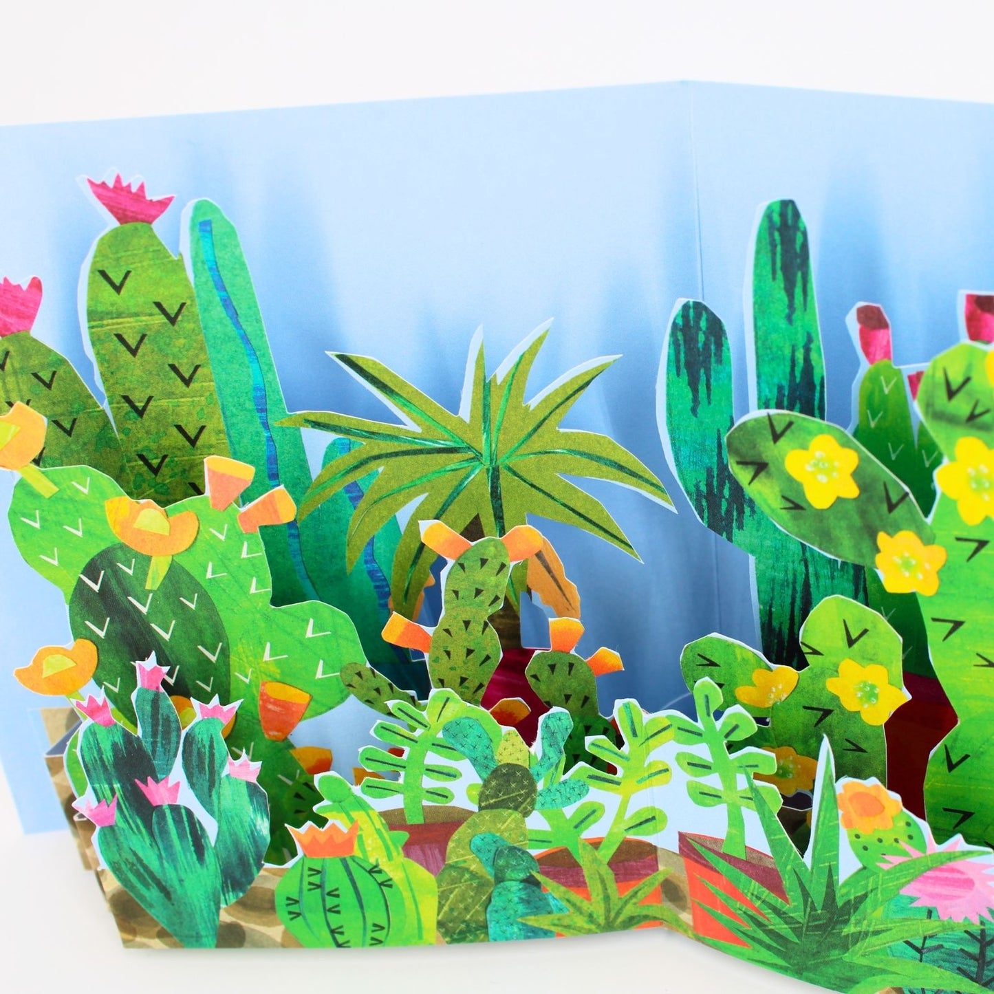 2toTango 3D Pop Up Card Green Cactus Greeting Card Any Occasion
