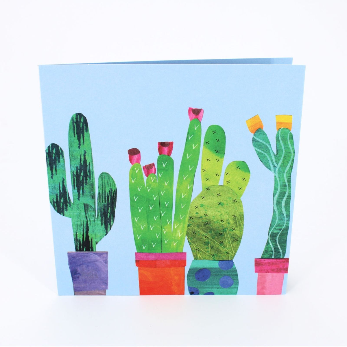 2toTango 3D Pop Up Card Green Cactus Greeting Card Any Occasion