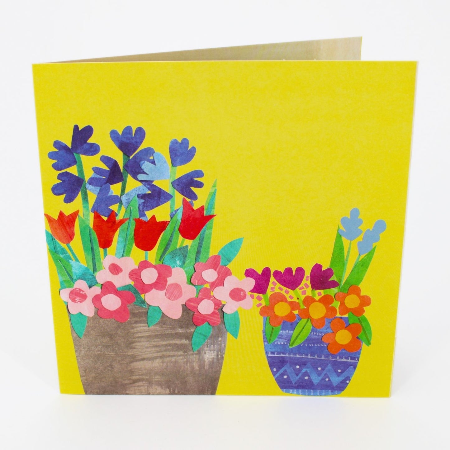 2toTango 3D Pop Up Card Potted Garden Greeting Card Any Occasion