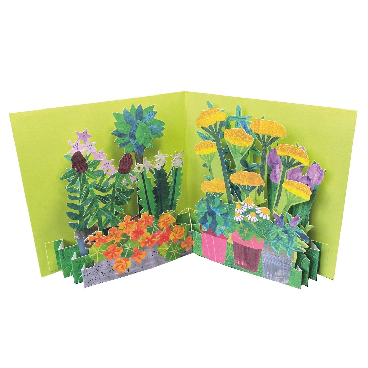 2toTango 3D Pop Up Card Potted Flowers Greeting Card Any Occasion