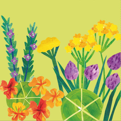 2toTango 3D Pop Up Card Potted Flowers Greeting Card Any Occasion