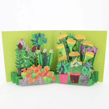 2toTango 3D Pop Up Card Potted Flowers Greeting Card Any Occasion