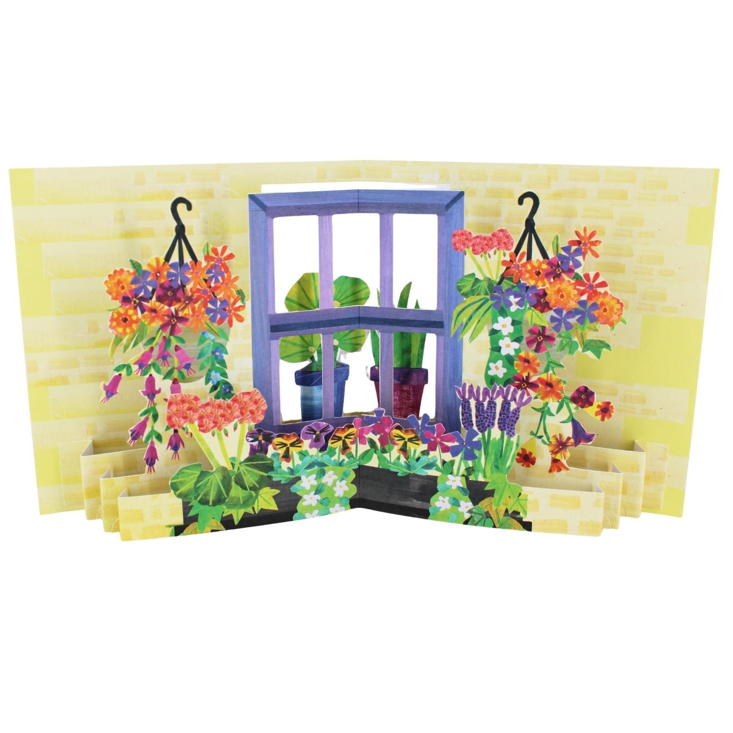 2toTango 3D Pop Up Card Window Boxes Greeting Card Any Occasion