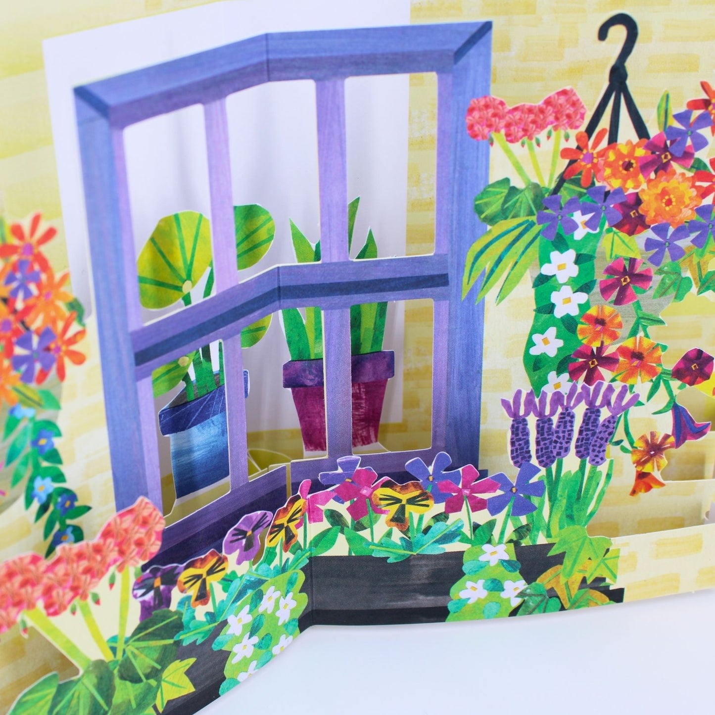2toTango 3D Pop Up Card Window Boxes Greeting Card Any Occasion