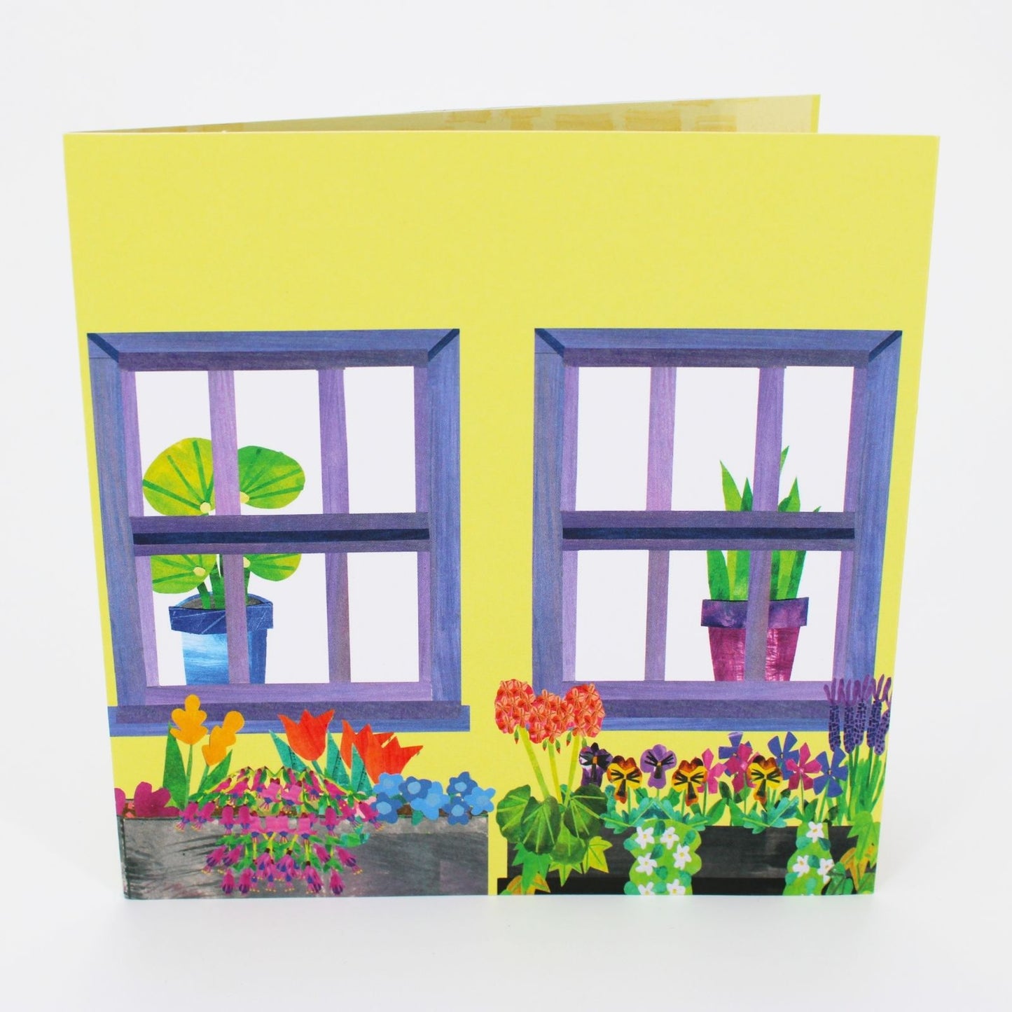 2toTango 3D Pop Up Card Window Boxes Greeting Card Any Occasion
