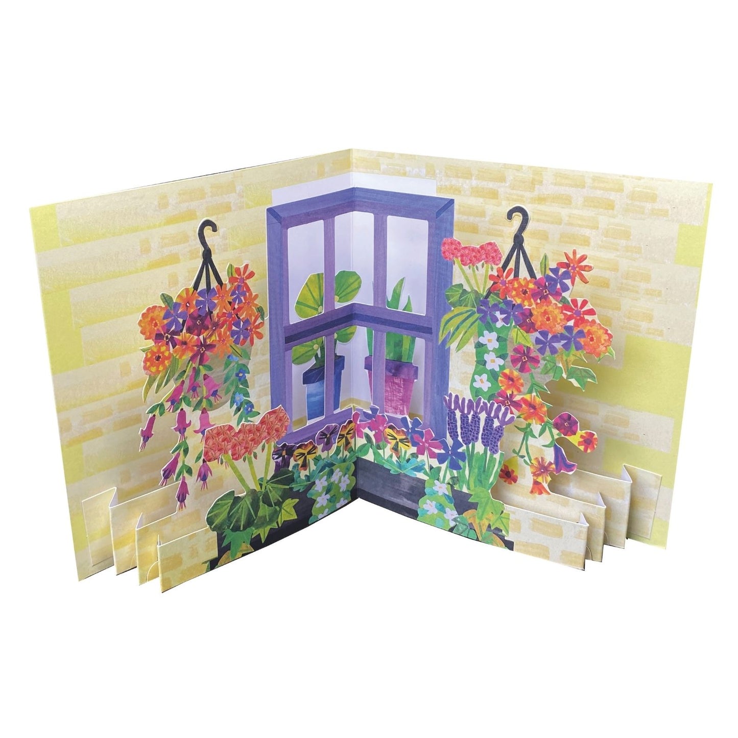 2toTango 3D Pop Up Card Window Boxes Greeting Card Any Occasion