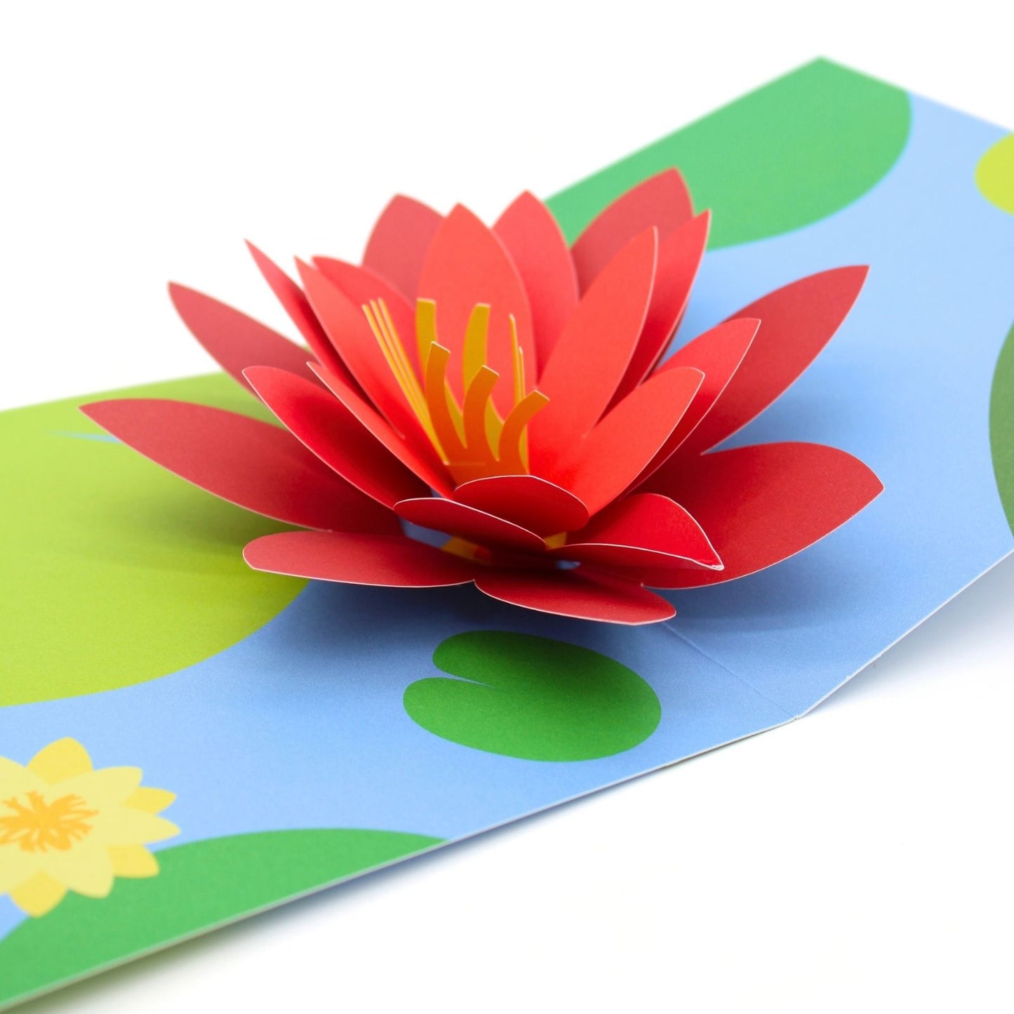 2toTango 3D Pop Up Card Red Water Lilies Greeting Card Any Occasion
