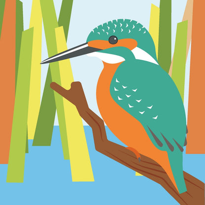 2toTango 3D Pop Up Card Kingfisher Greeting Card Any Occasion