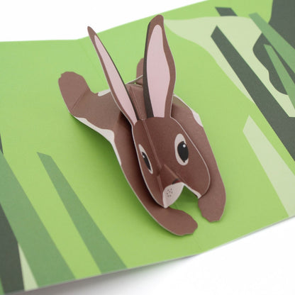 2toTango 3D Pop Up Card Countryside Range Greeting Card Any Occasion