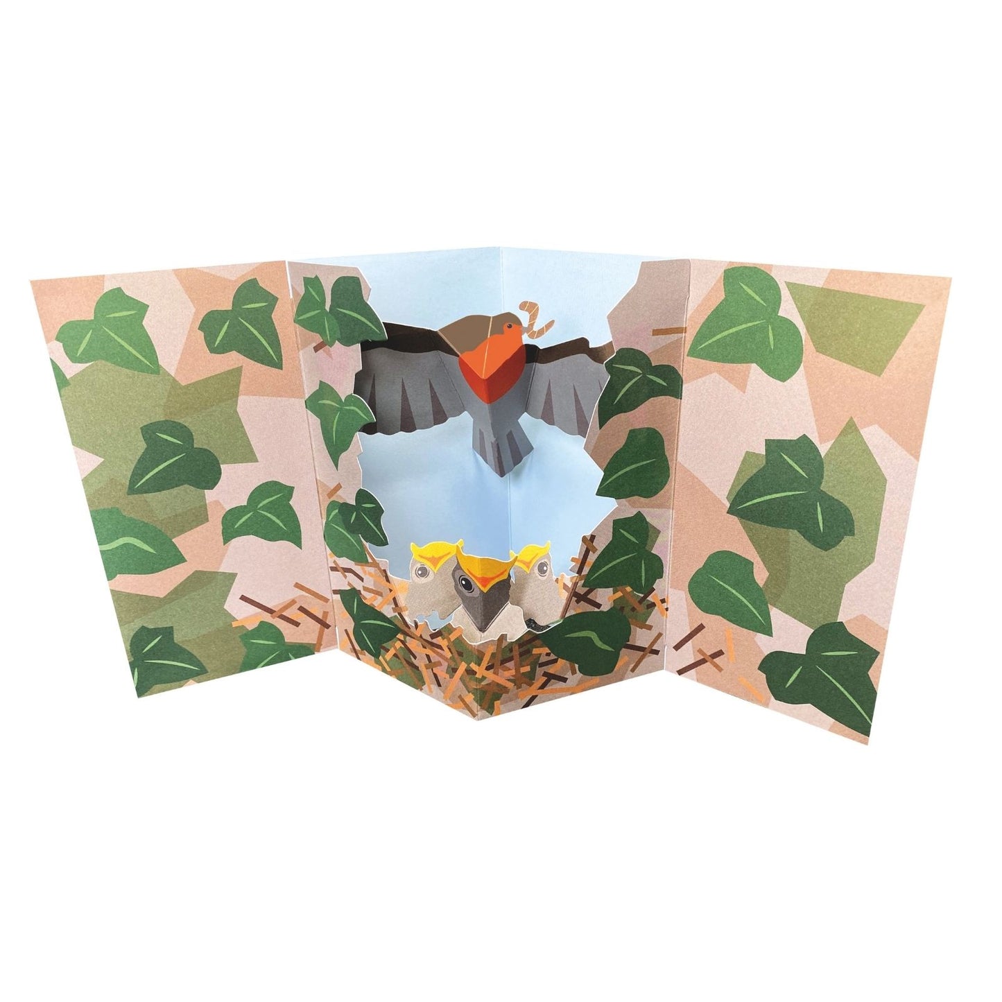 2toTango 3D Pop Up Card Robin Red Breast Greeting Card Any Occasion
