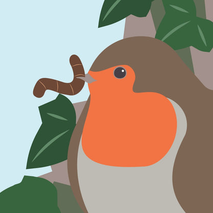 2toTango 3D Pop Up Card Robin Red Breast Greeting Card Any Occasion
