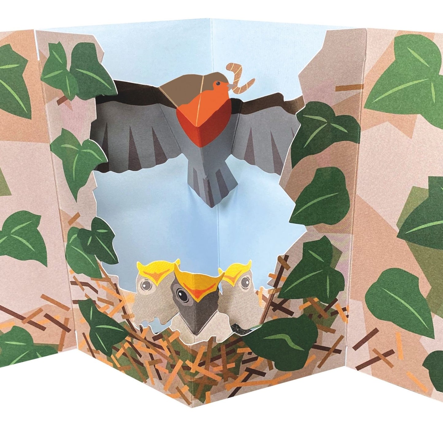 2toTango 3D Pop Up Card Robin Red Breast Greeting Card Any Occasion