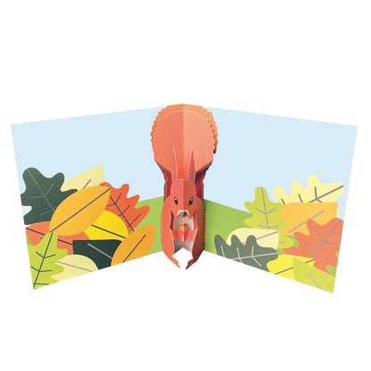 2toTango 3D Pop Up Card Red Squirrel Greeting Card Any Occasion