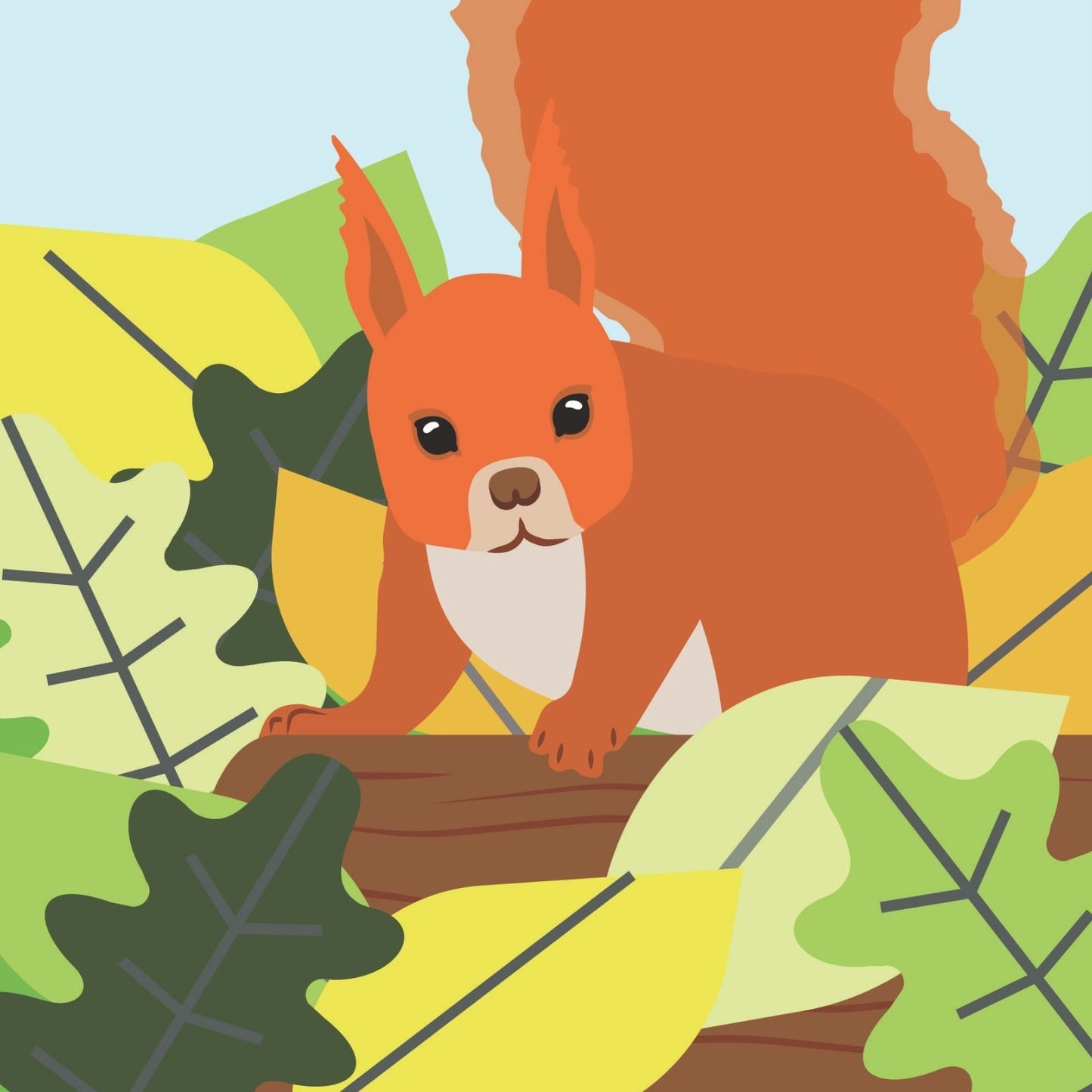 2toTango 3D Pop Up Card Red Squirrel Greeting Card Any Occasion