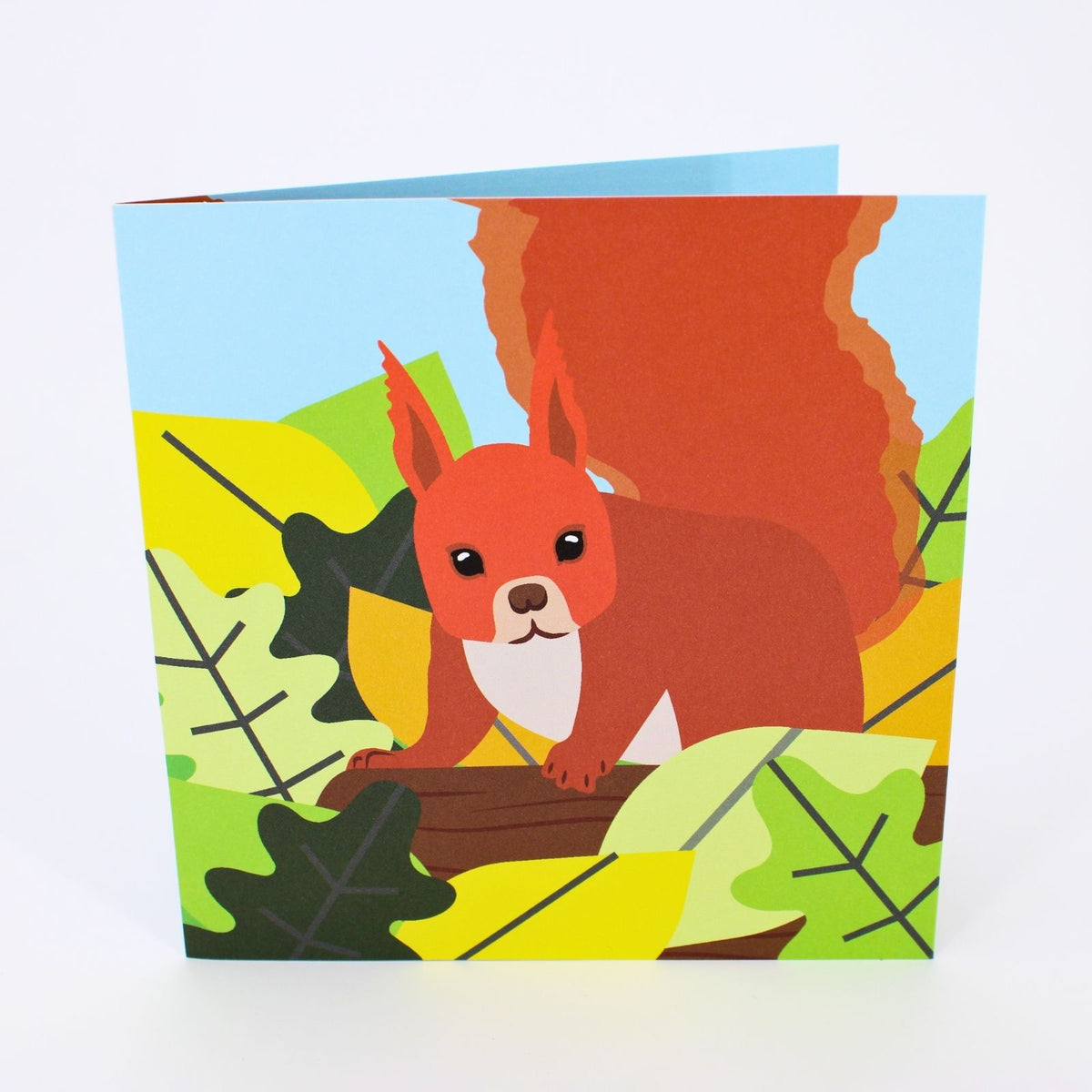 2toTango 3D Pop Up Card Red Squirrel Greeting Card Any Occasion