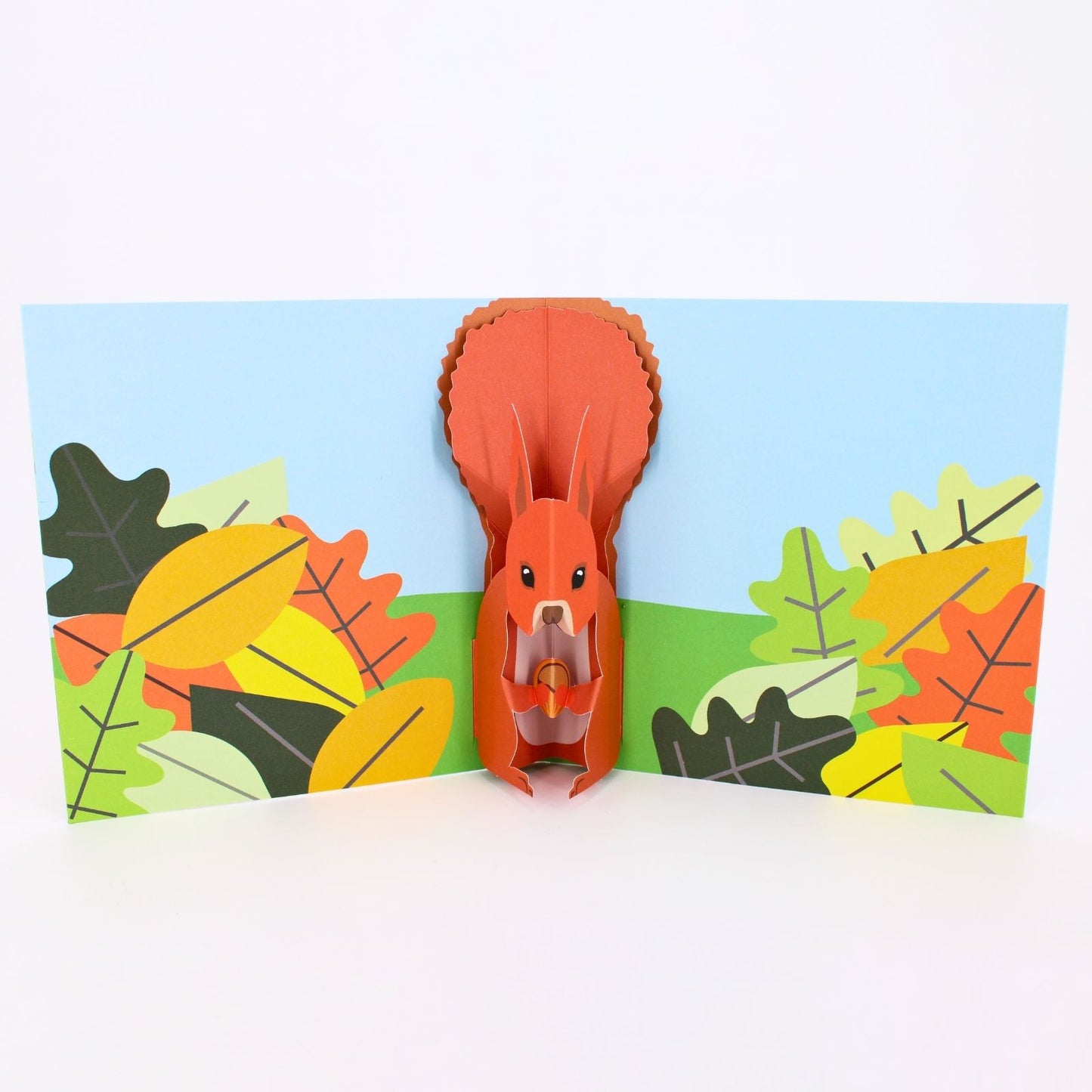 2toTango 3D Pop Up Card Red Squirrel Greeting Card Any Occasion