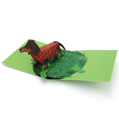 2toTango 3D Pop Up Card Cute Dachshund Dog Greeting Card Any Occasion