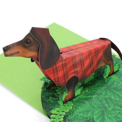 2toTango 3D Pop Up Card Cute Dachshund Dog Greeting Card Any Occasion