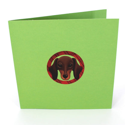 2toTango 3D Pop Up Card Cute Dachshund Dog Greeting Card Any Occasion