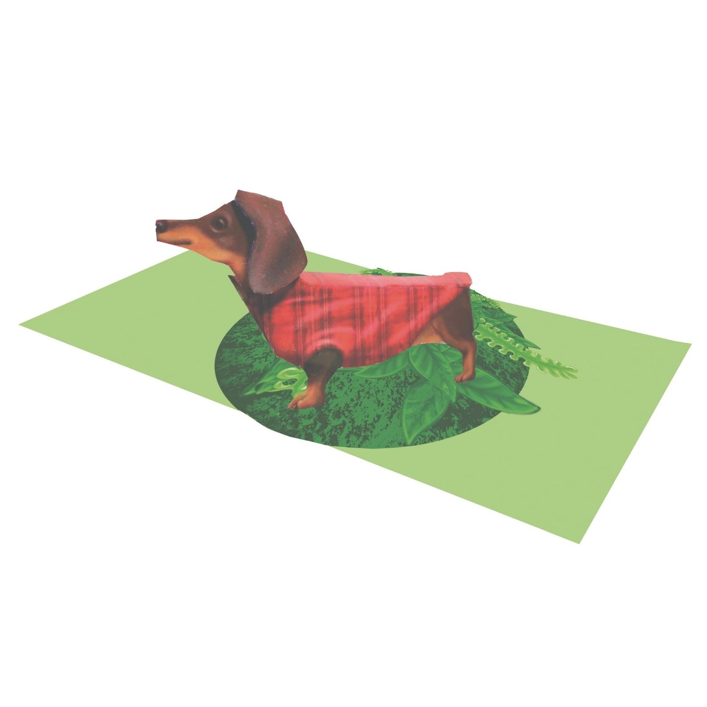 2toTango 3D Pop Up Card Cute Dachshund Dog Greeting Card Any Occasion