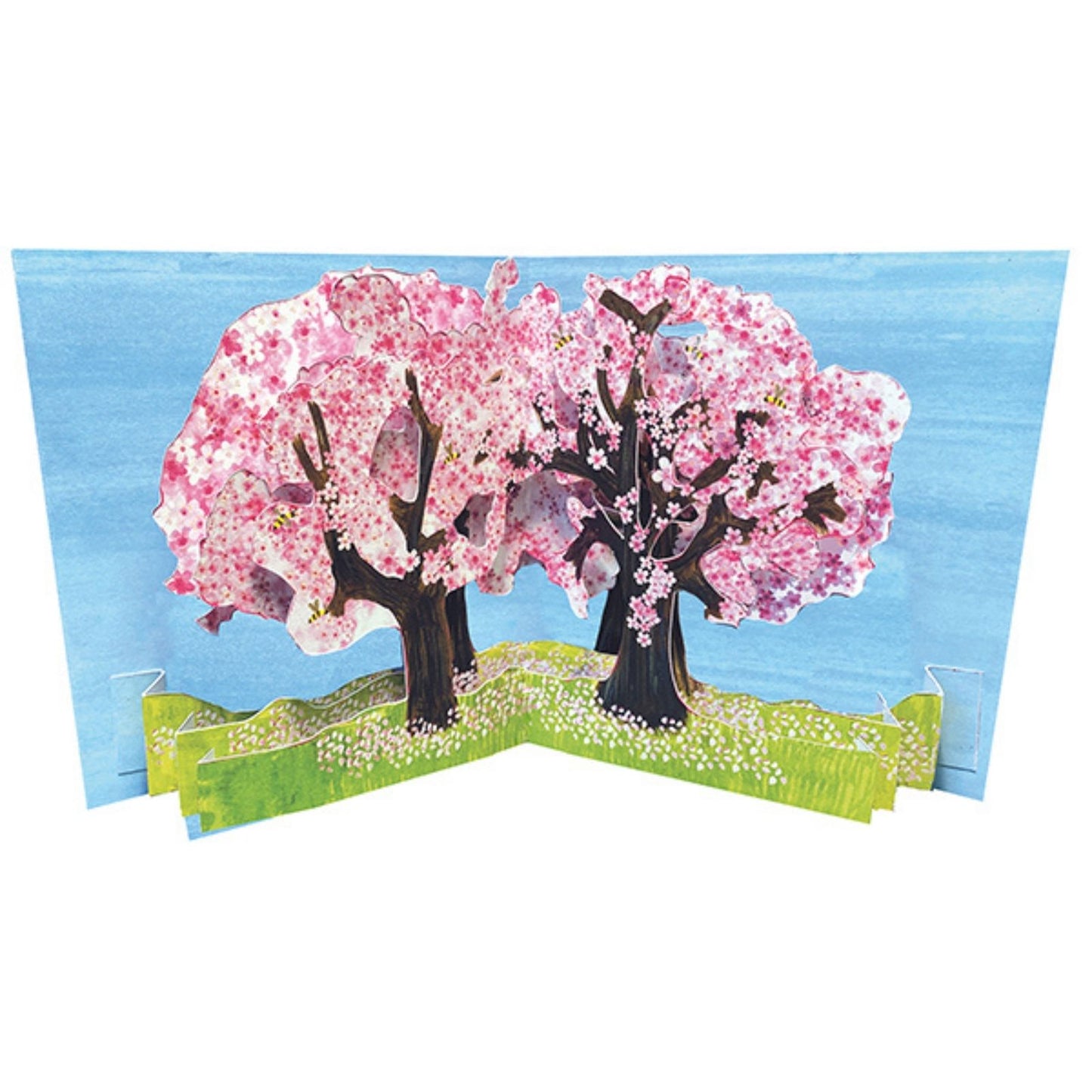 2toTango 3D Pop Up Card Cherry Blossom Greeting Card Any Occasion