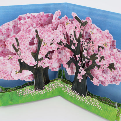 2toTango 3D Pop Up Card Cherry Blossom Greeting Card Any Occasion
