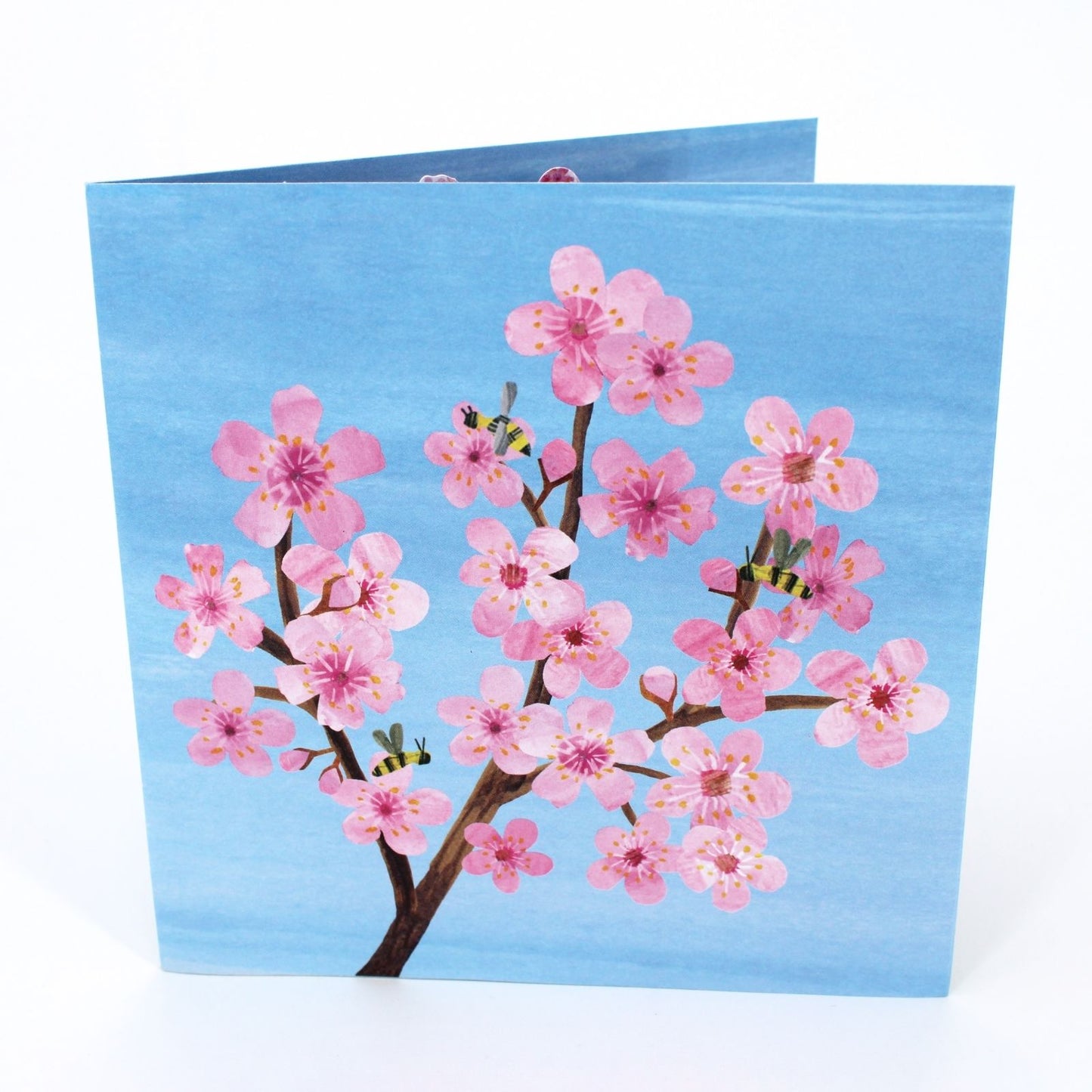 2toTango 3D Pop Up Card Cherry Blossom Greeting Card Any Occasion