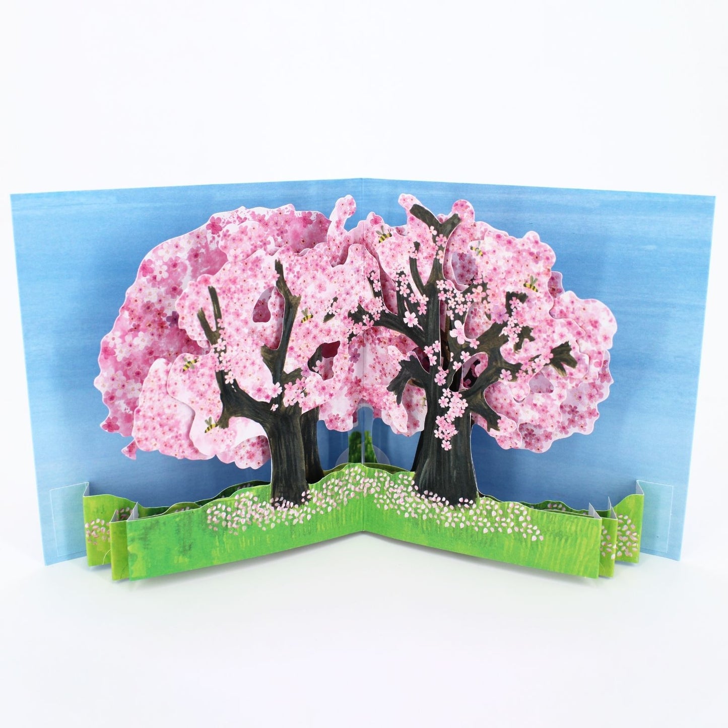 2toTango 3D Pop Up Card Cherry Blossom Greeting Card Any Occasion