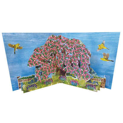 2toTango 3D Pop Up Card Hawthorn Tree Greeting Card Any Occasion