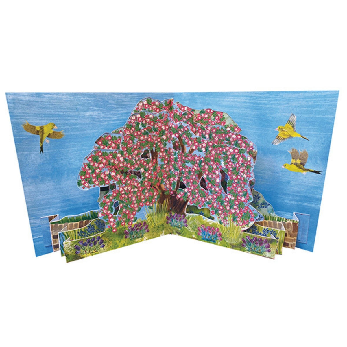 2toTango 3D Pop Up Card Hawthorn Tree Greeting Card Any Occasion