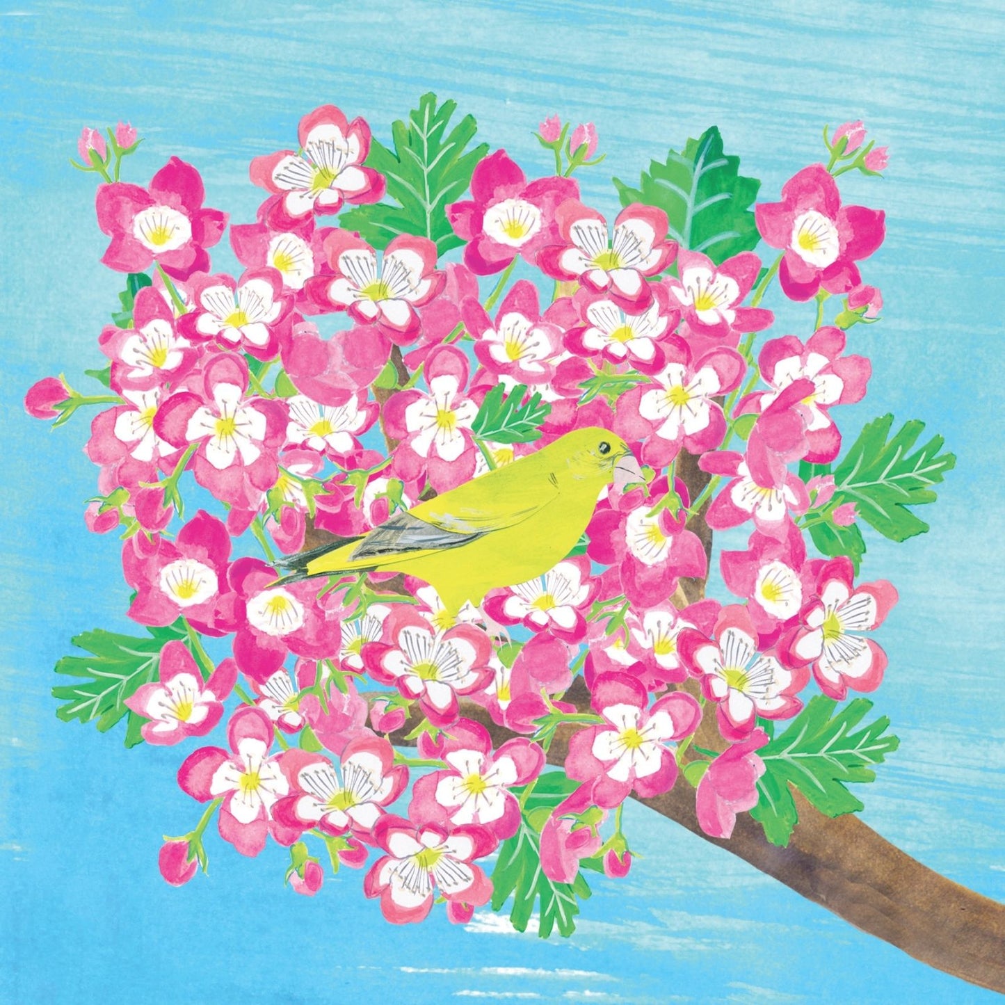 2toTango 3D Pop Up Card Hawthorn Tree Greeting Card Any Occasion