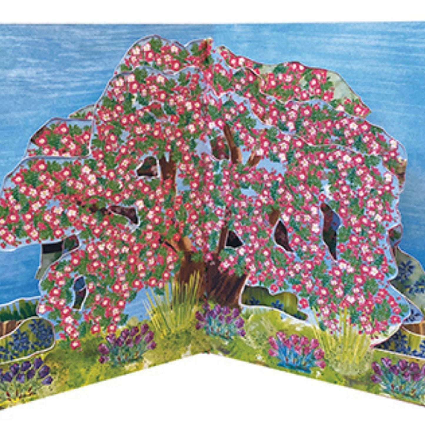 2toTango 3D Pop Up Card Hawthorn Tree Greeting Card Any Occasion