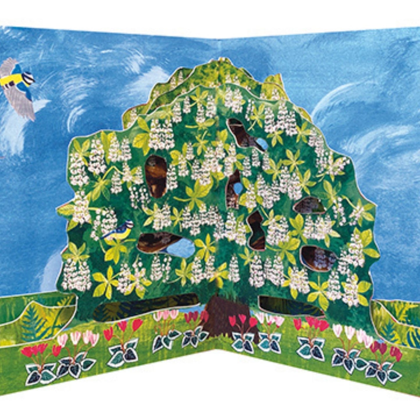 2toTango 3D Pop Up Card Horse Chestnut Greeting Card Any Occasion