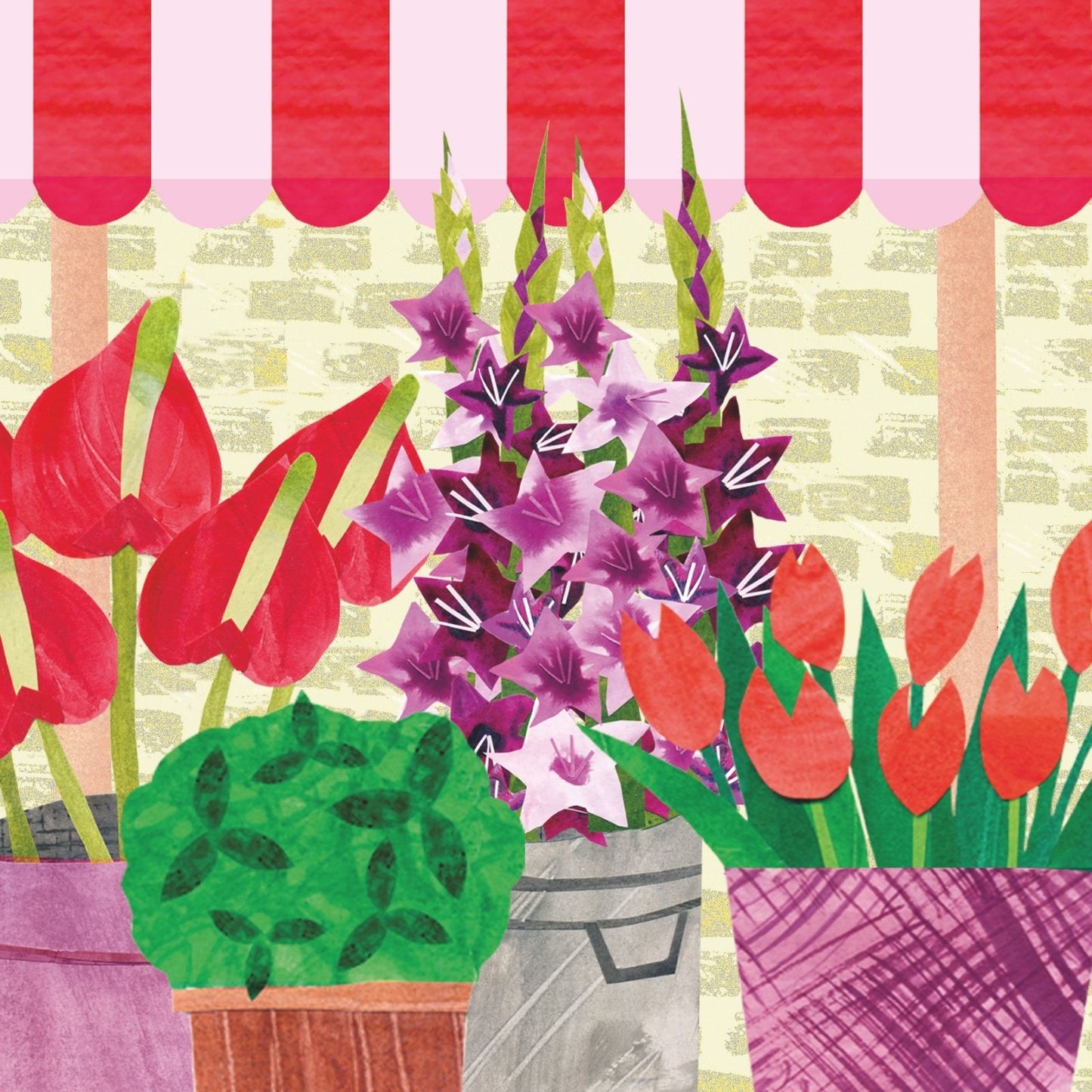 2toTango 3D Pop Up Card Potted Flowers Greeting Card Any Occasion