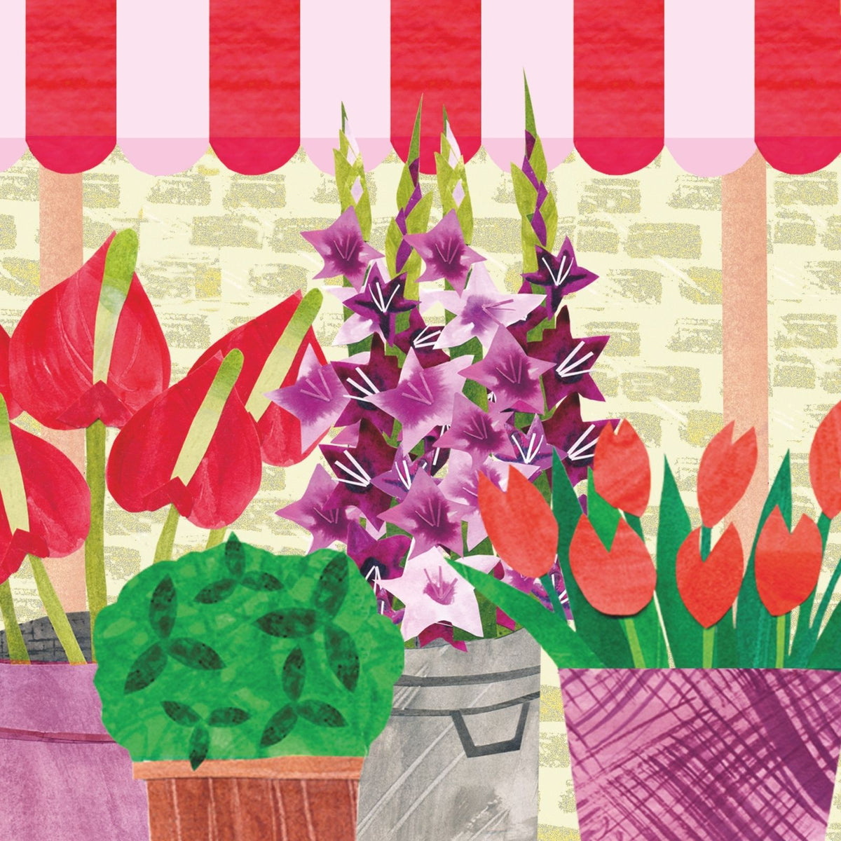 2toTango 3D Pop Up Card Potted Flowers Greeting Card Any Occasion