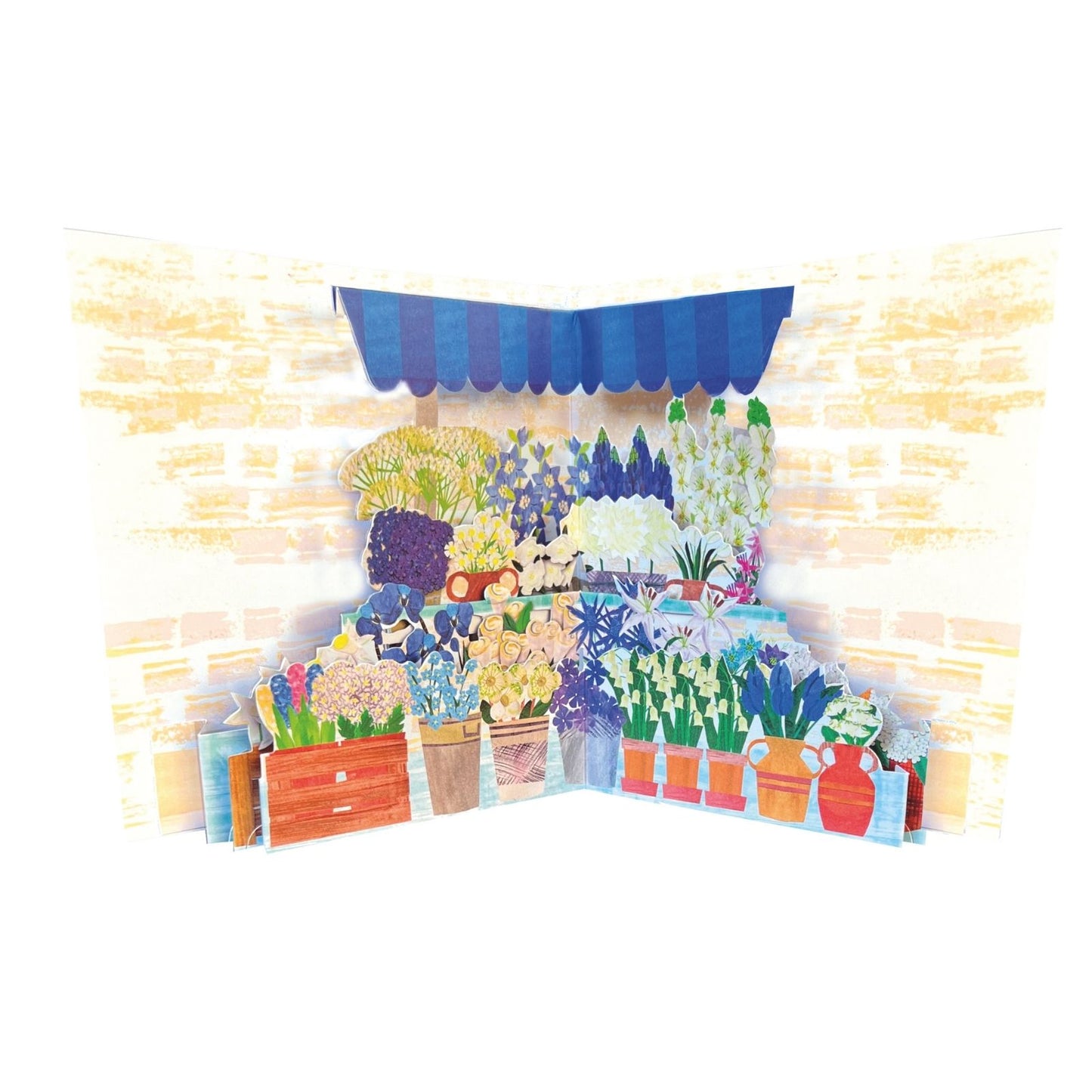 2toTango 3D Pop Up Card Potted Floral Scene Greeting Card Any Occasion