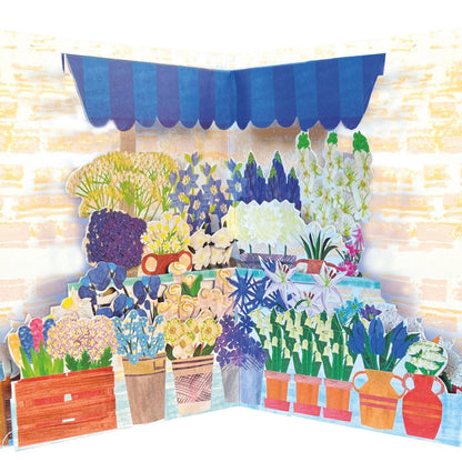 2toTango 3D Pop Up Card Potted Floral Scene Greeting Card Any Occasion